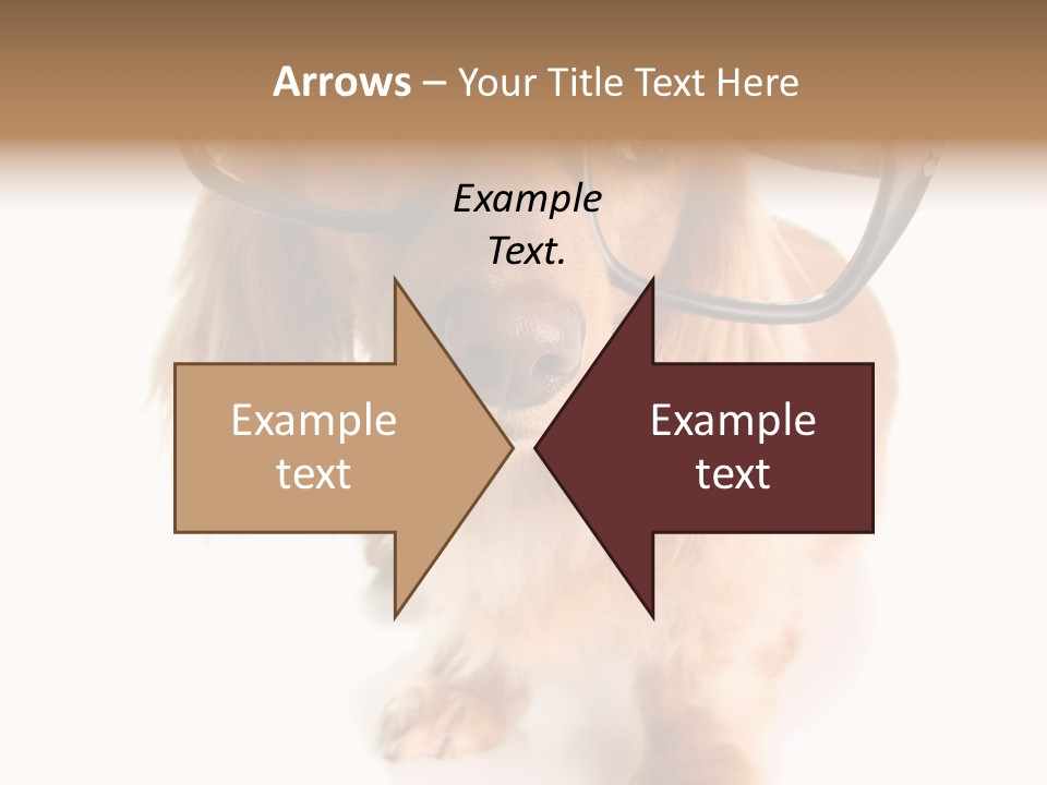 Kindergarten Dachshund Puppy PowerPoint Template