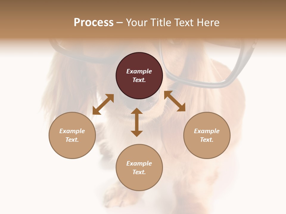 Kindergarten Dachshund Puppy PowerPoint Template