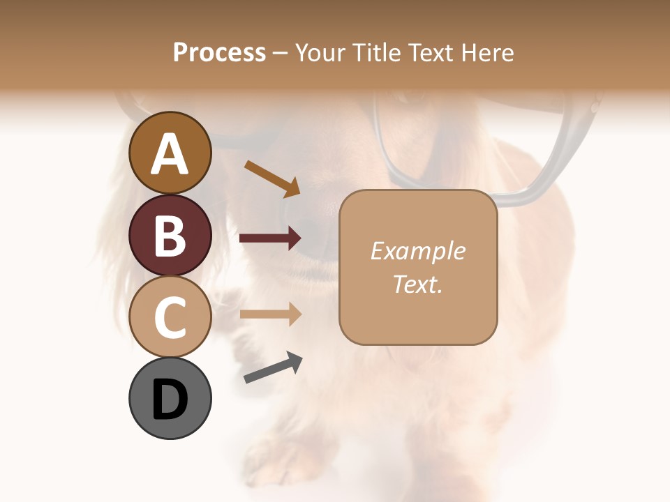 Kindergarten Dachshund Puppy PowerPoint Template