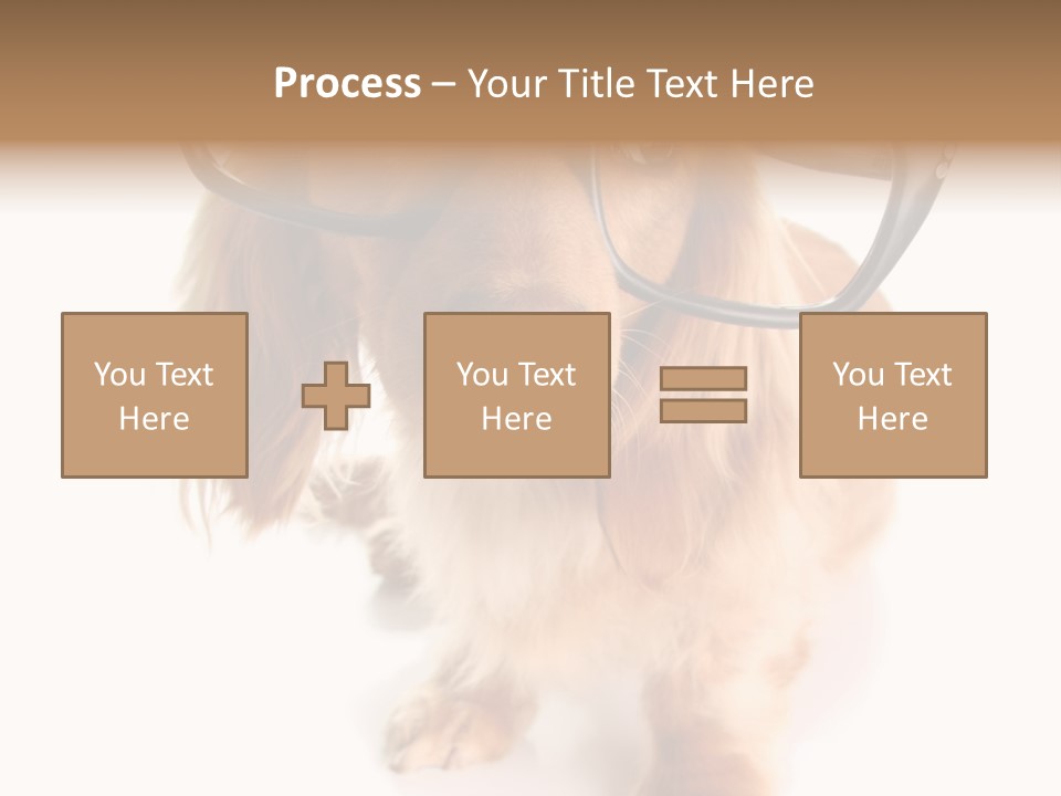 Kindergarten Dachshund Puppy PowerPoint Template