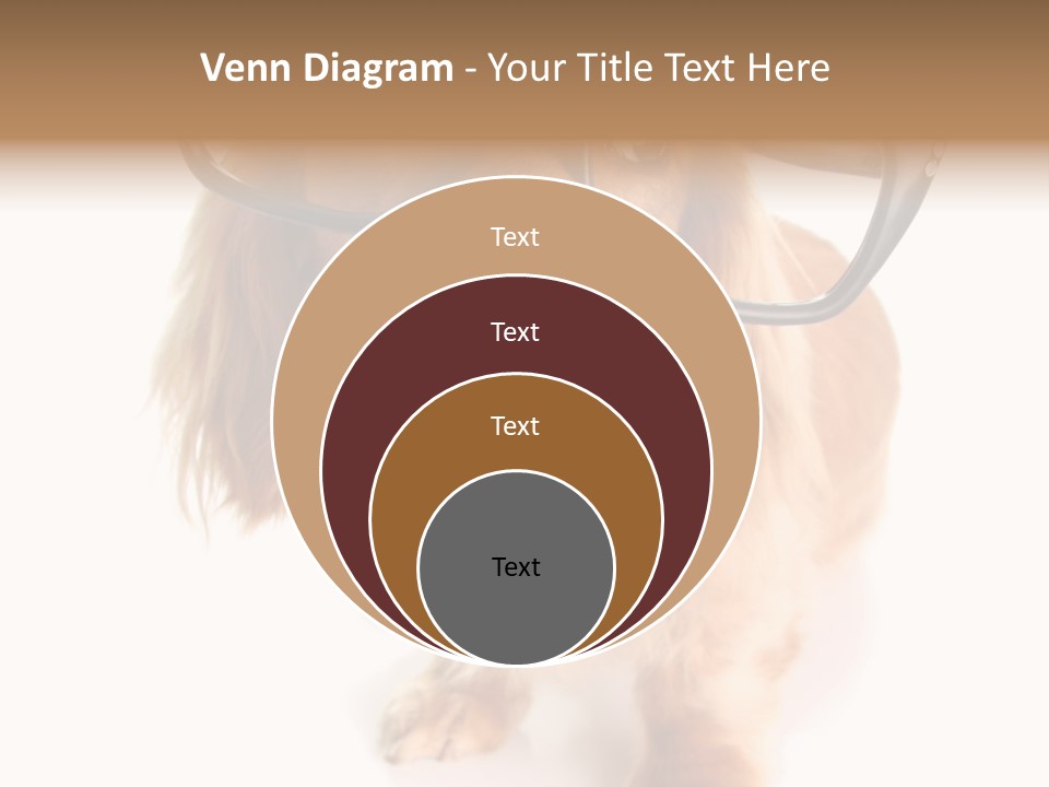 Kindergarten Dachshund Puppy PowerPoint Template