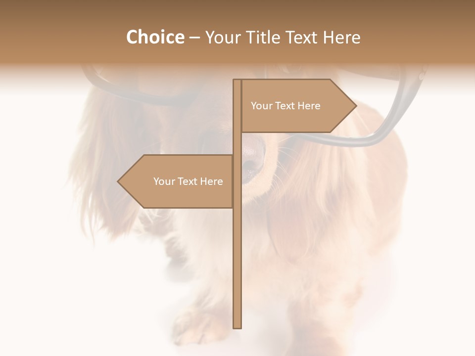 Kindergarten Dachshund Puppy PowerPoint Template