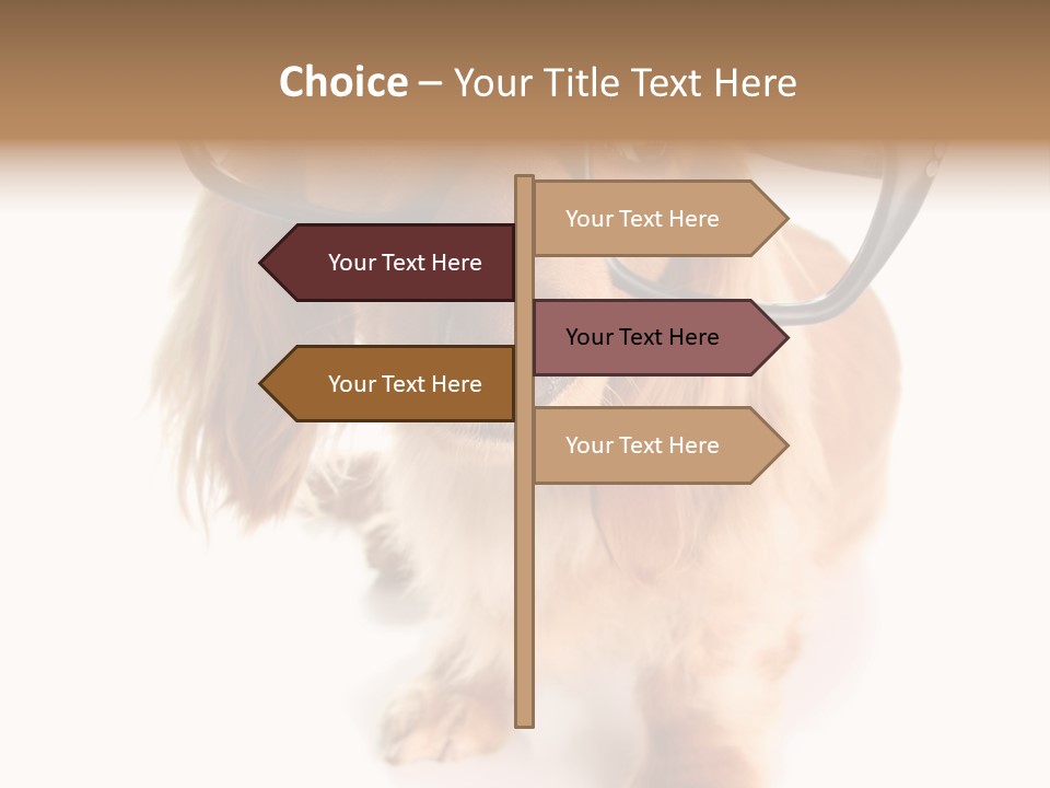 Kindergarten Dachshund Puppy PowerPoint Template