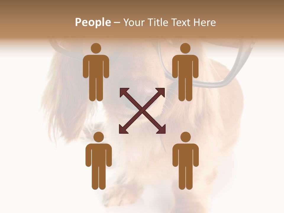 Kindergarten Dachshund Puppy PowerPoint Template