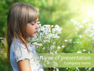 Freedom Spring View PowerPoint Template