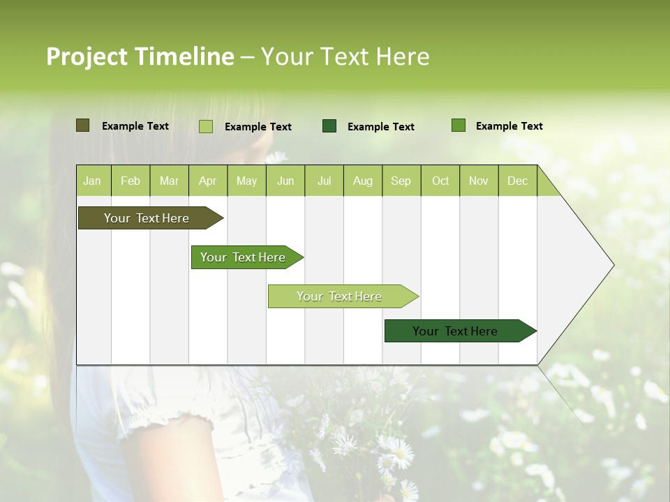 Freedom Spring View PowerPoint Template