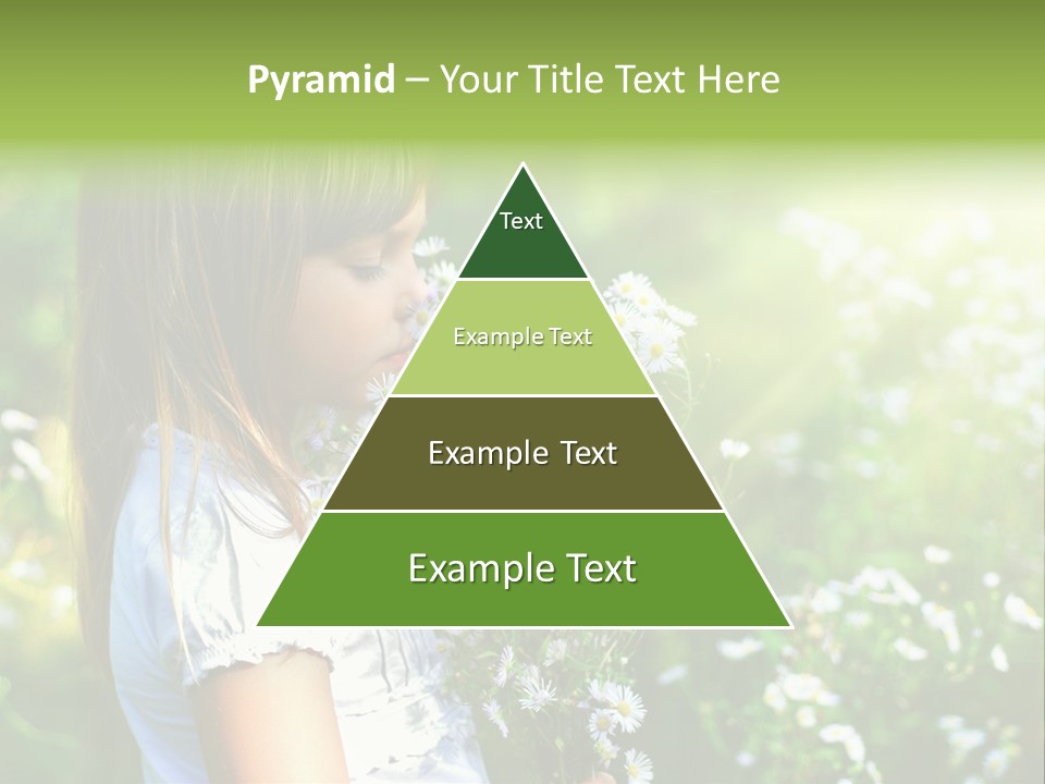 Freedom Spring View PowerPoint Template