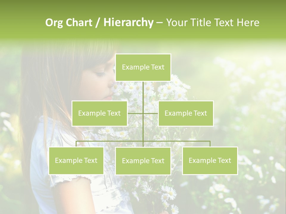 Freedom Spring View PowerPoint Template