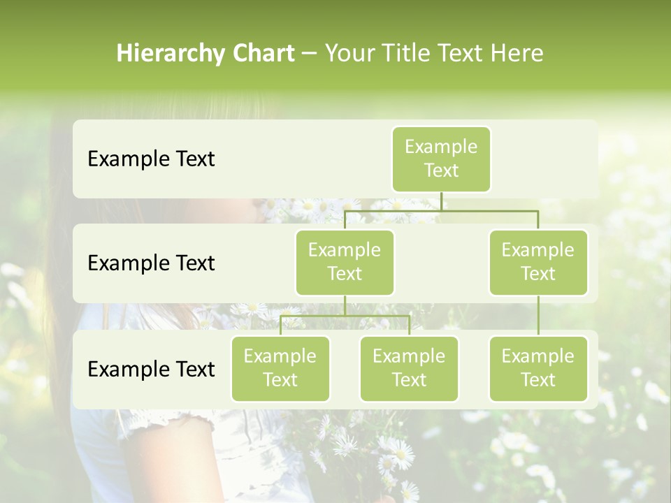 Freedom Spring View PowerPoint Template