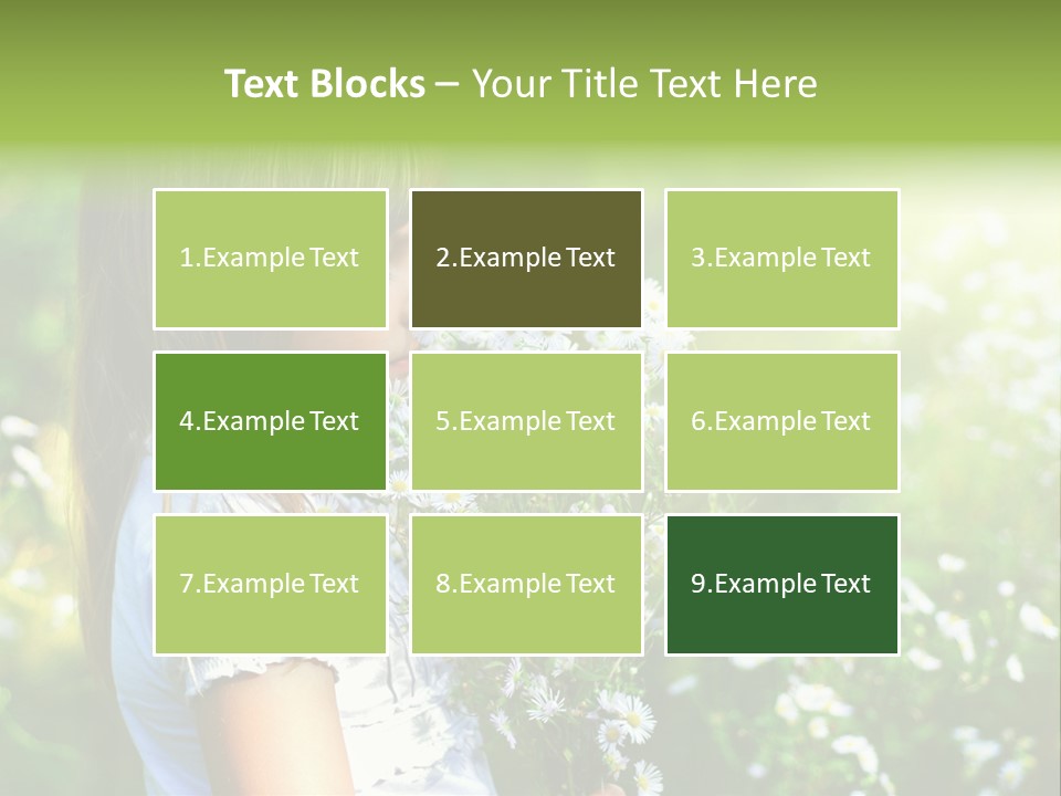 Freedom Spring View PowerPoint Template