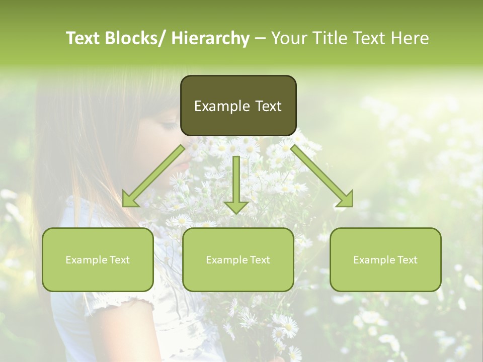 Freedom Spring View PowerPoint Template