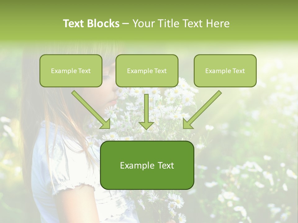 Freedom Spring View PowerPoint Template