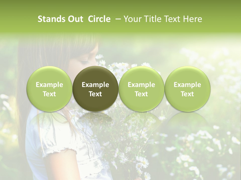 Freedom Spring View PowerPoint Template