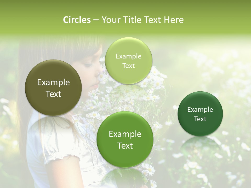 Freedom Spring View PowerPoint Template