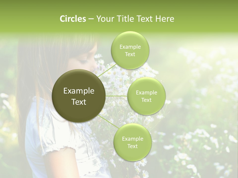 Freedom Spring View PowerPoint Template