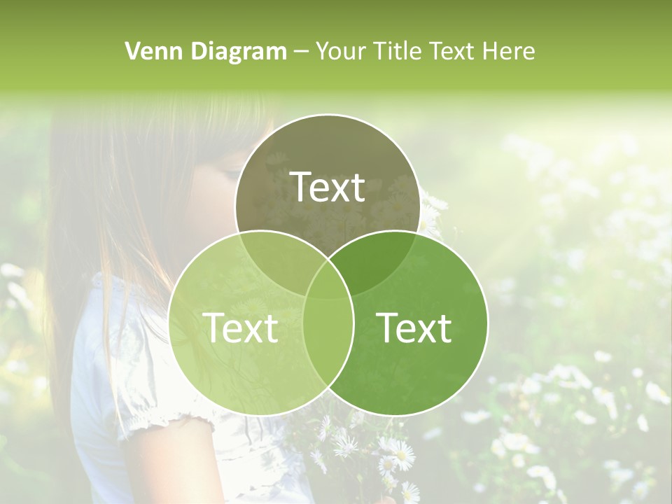 Freedom Spring View PowerPoint Template