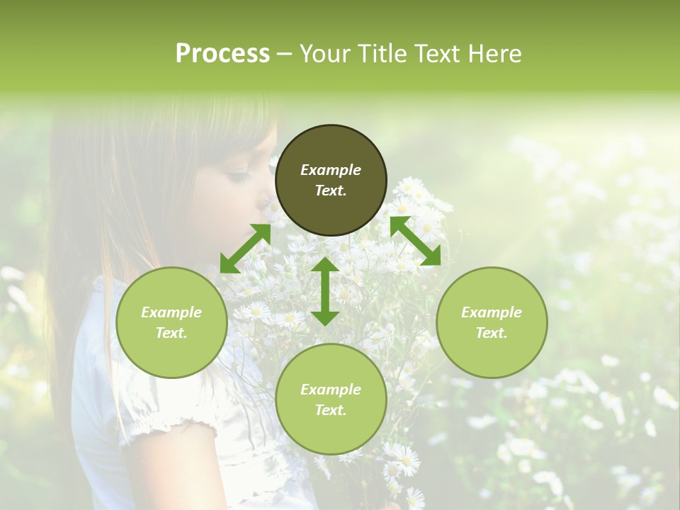 Freedom Spring View PowerPoint Template