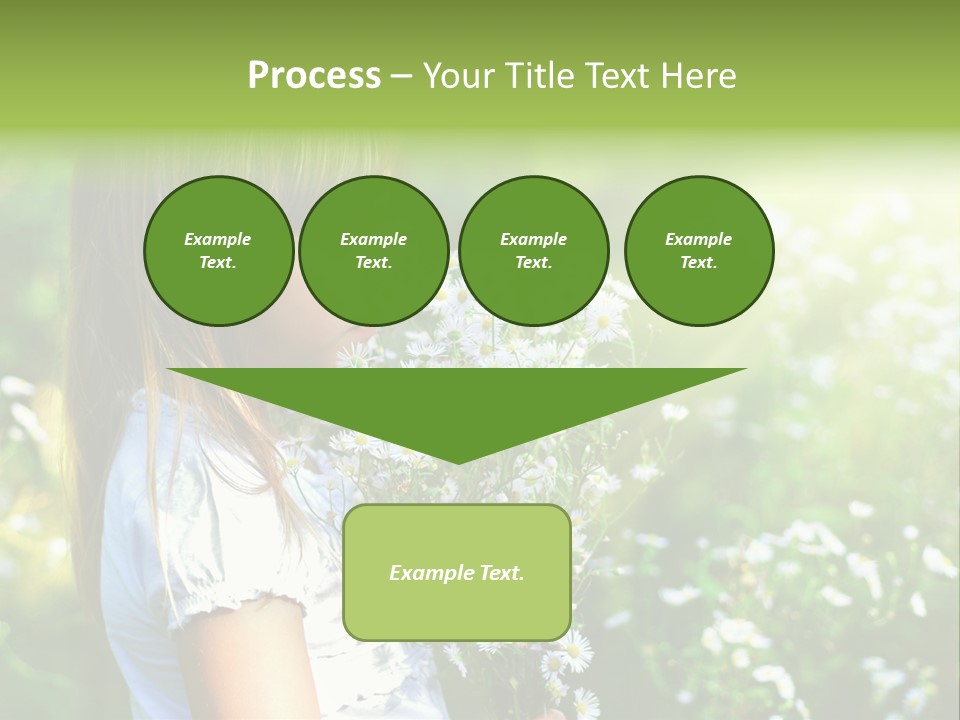 Freedom Spring View PowerPoint Template