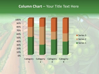 Rural Food Italy PowerPoint Template