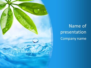 Spa Forest Tree PowerPoint Template