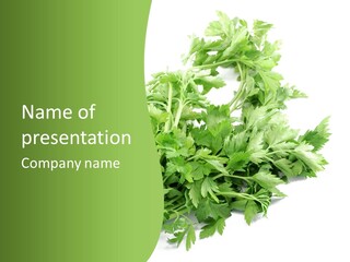 Fresh Green String PowerPoint Template