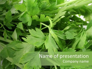 Green Bundle Ingredient PowerPoint Template