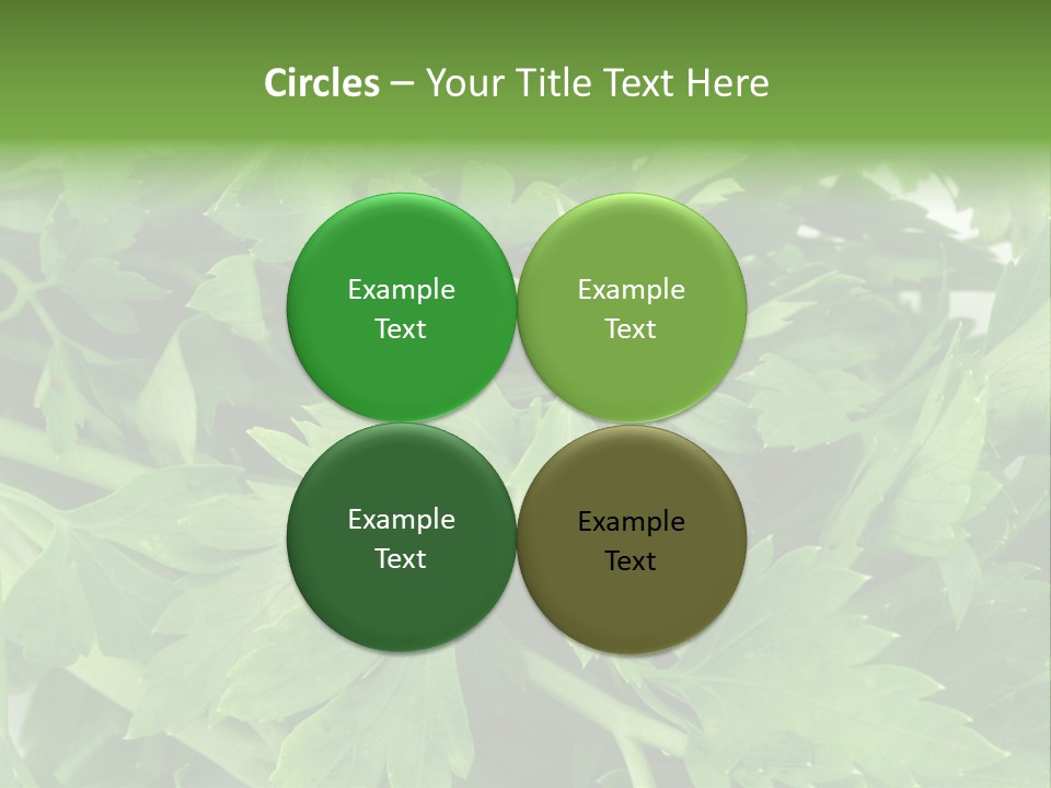 Green Bundle Ingredient PowerPoint Template