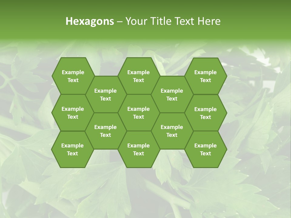 Green Bundle Ingredient PowerPoint Template