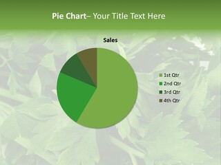 Green Bundle Ingredient PowerPoint Template