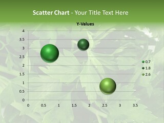 Green Bundle Ingredient PowerPoint Template