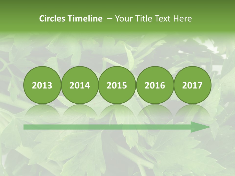 Green Bundle Ingredient PowerPoint Template