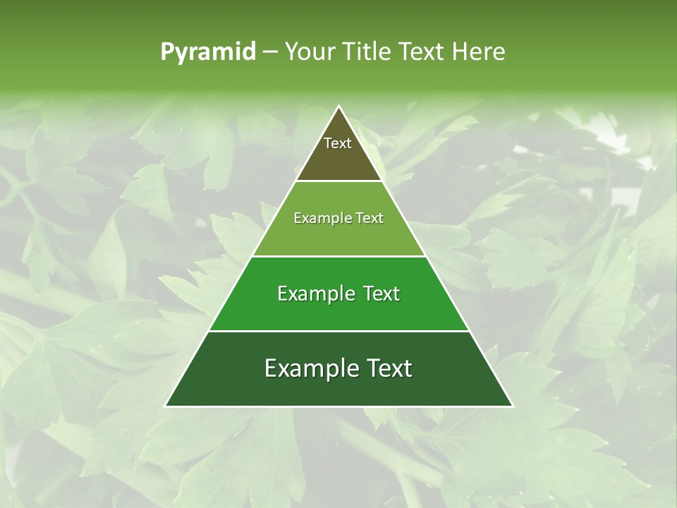 Green Bundle Ingredient PowerPoint Template