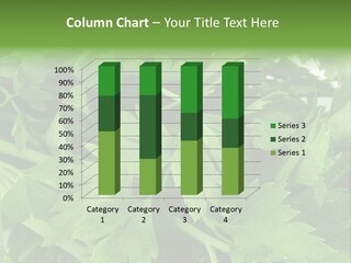 Green Bundle Ingredient PowerPoint Template