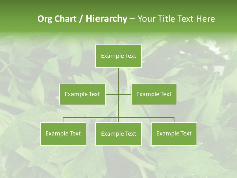 Green Bundle Ingredient PowerPoint Template