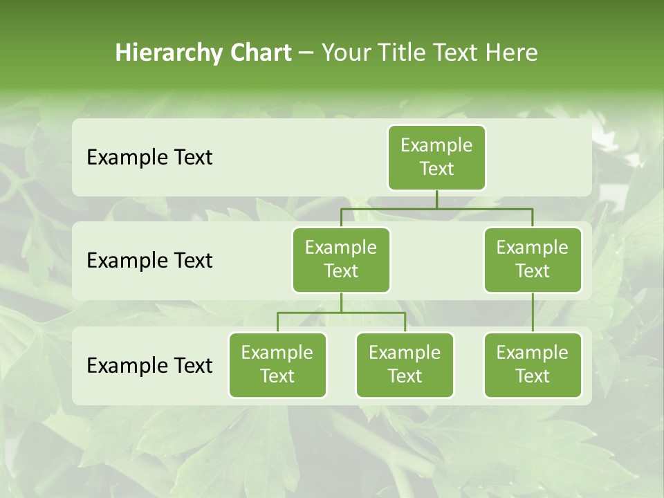 Green Bundle Ingredient PowerPoint Template