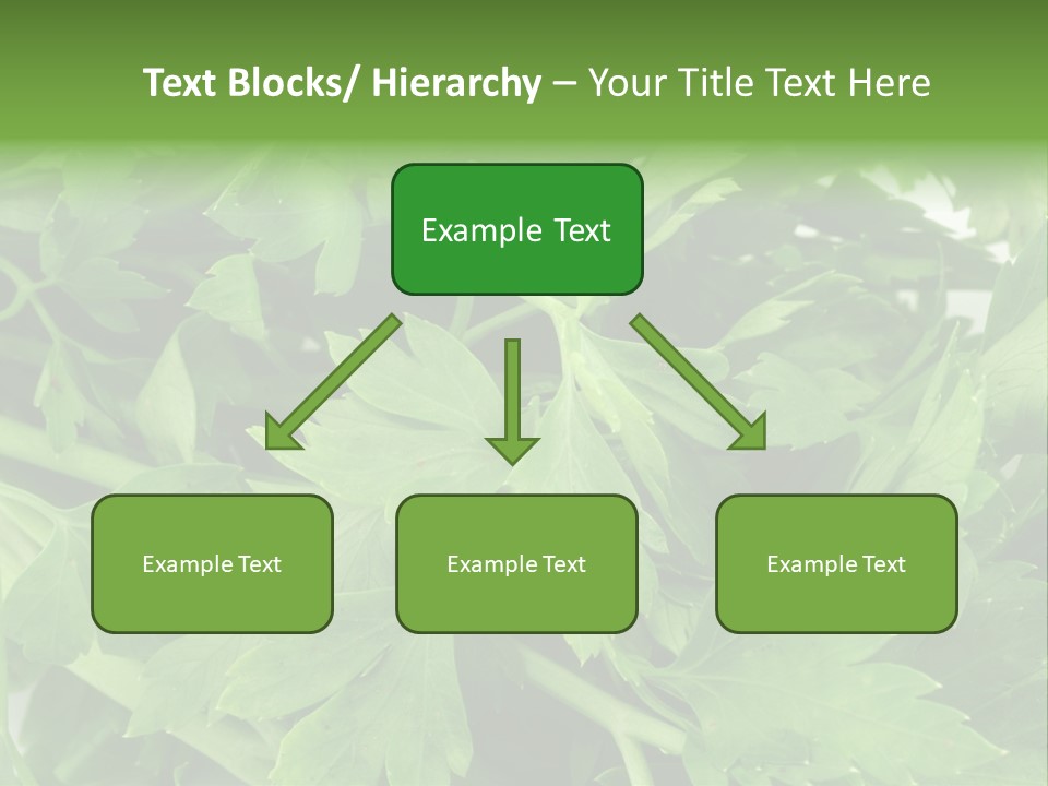 Green Bundle Ingredient PowerPoint Template