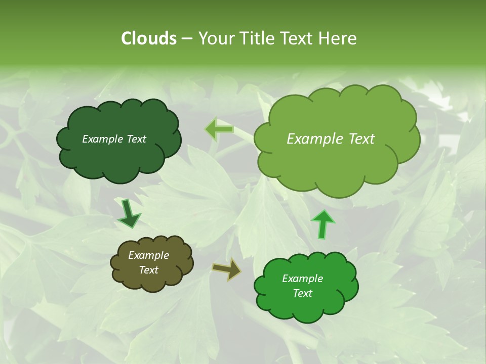 Green Bundle Ingredient PowerPoint Template