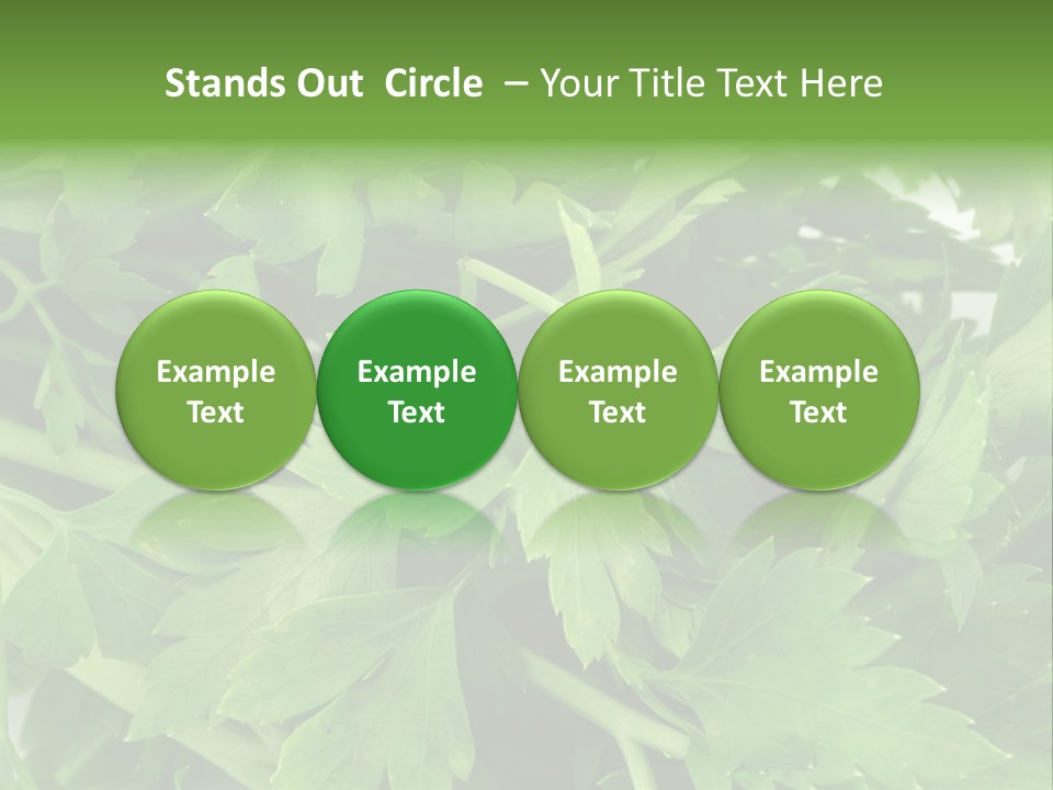 Green Bundle Ingredient PowerPoint Template