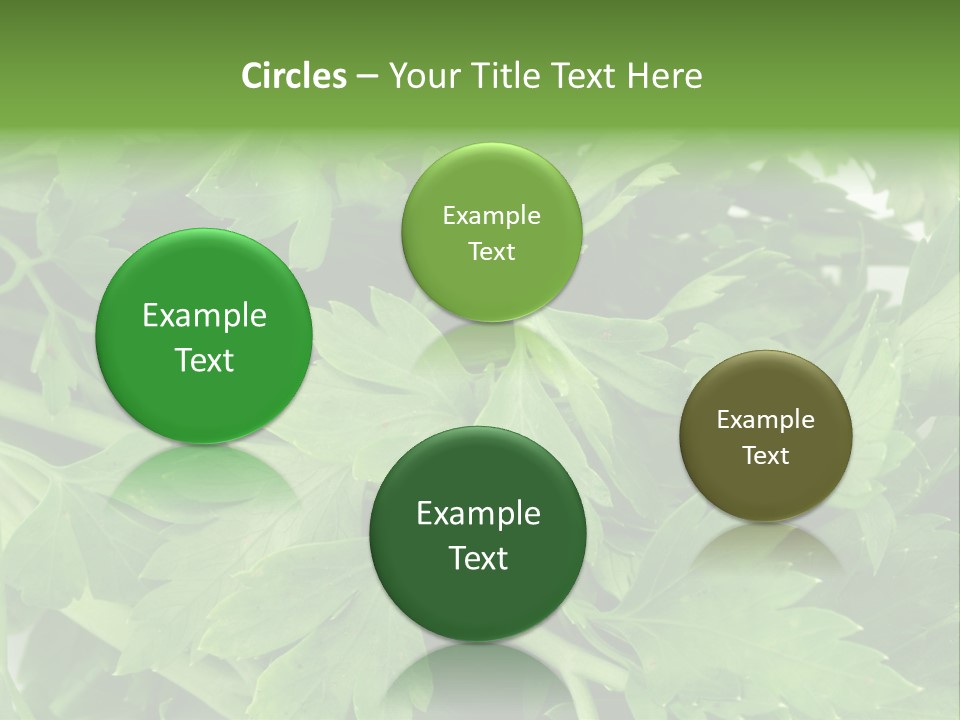 Green Bundle Ingredient PowerPoint Template