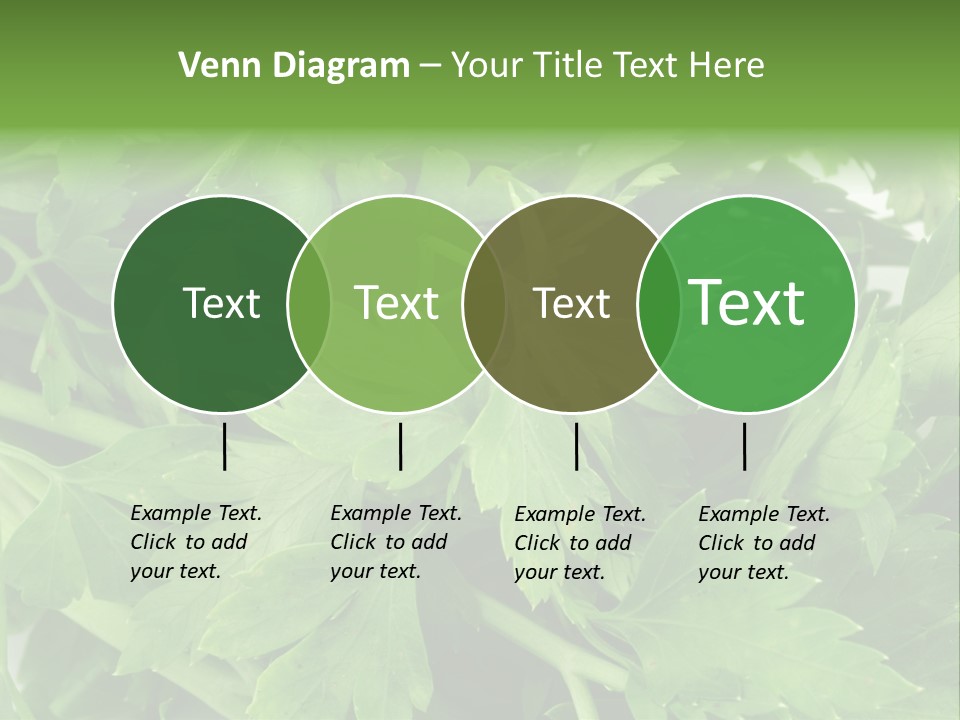 Green Bundle Ingredient PowerPoint Template