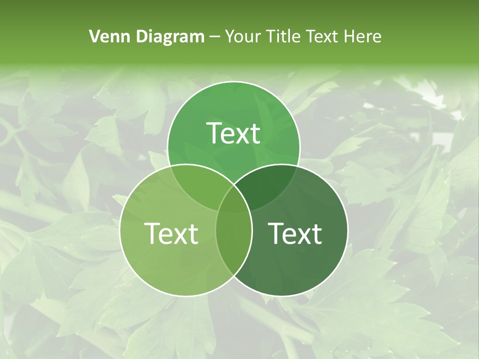 Green Bundle Ingredient PowerPoint Template