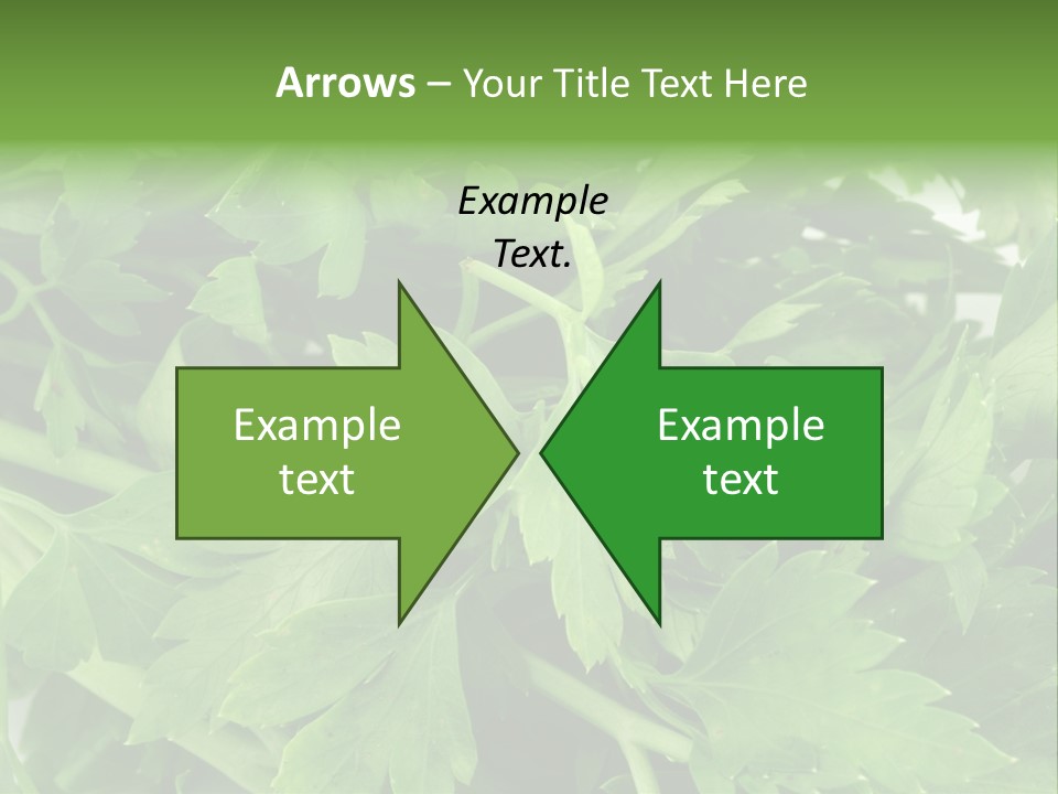 Green Bundle Ingredient PowerPoint Template