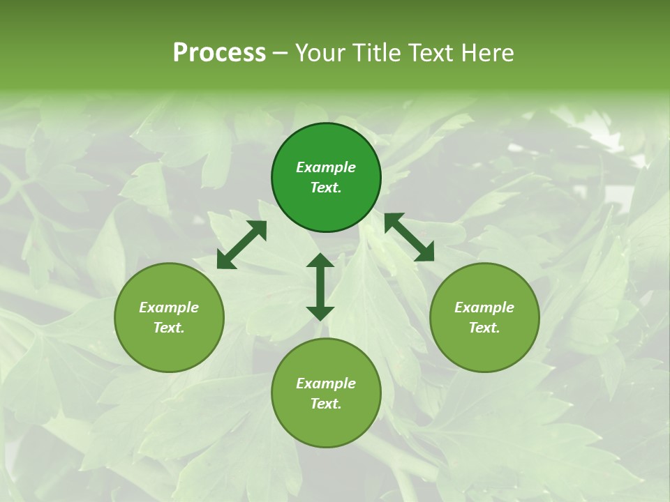 Green Bundle Ingredient PowerPoint Template