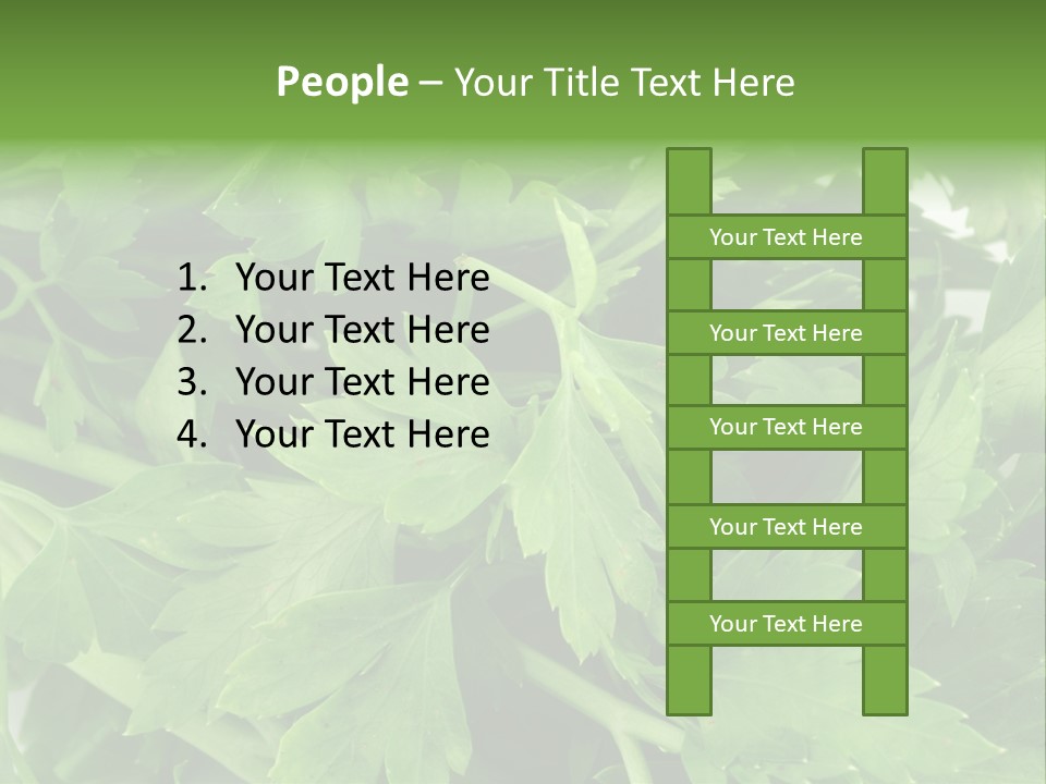 Green Bundle Ingredient PowerPoint Template
