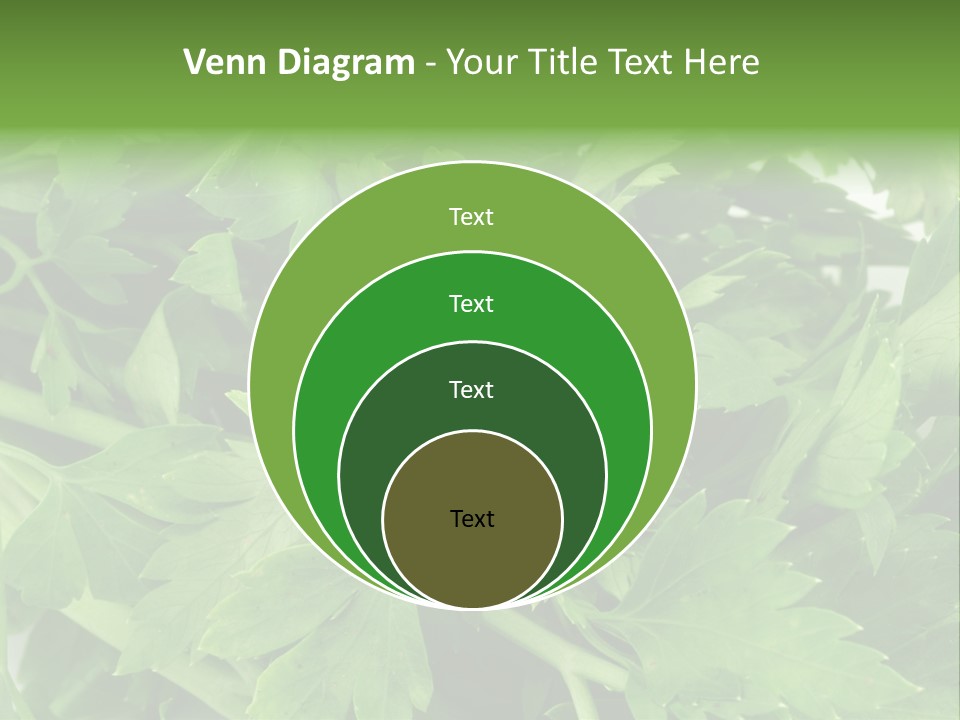 Green Bundle Ingredient PowerPoint Template