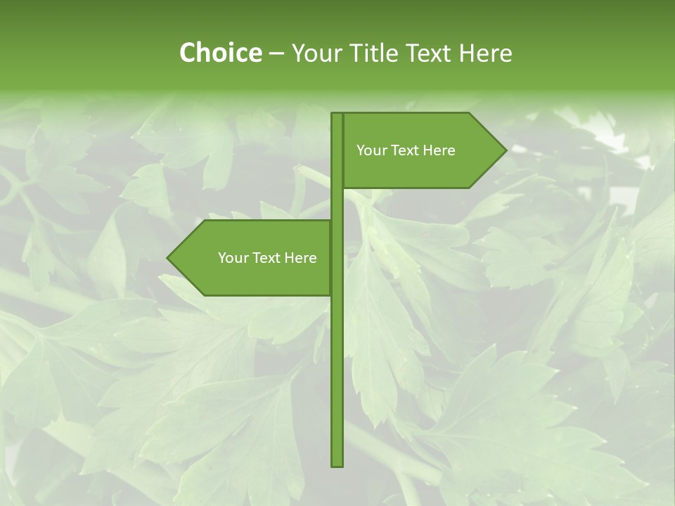 Green Bundle Ingredient PowerPoint Template