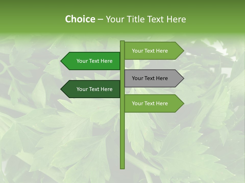 Green Bundle Ingredient PowerPoint Template