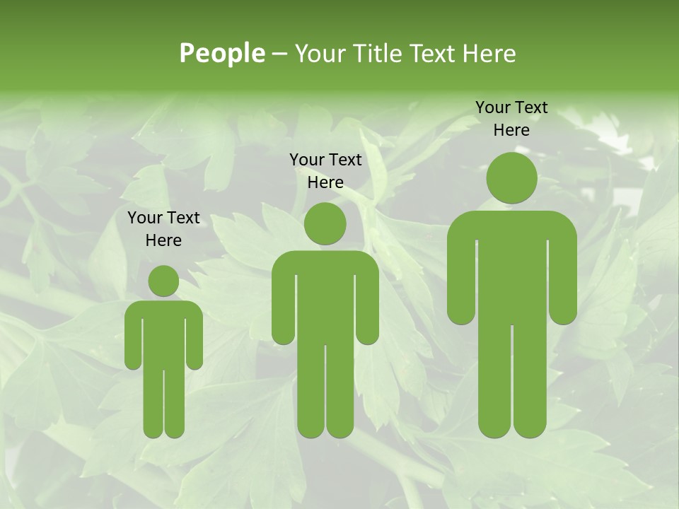 Green Bundle Ingredient PowerPoint Template