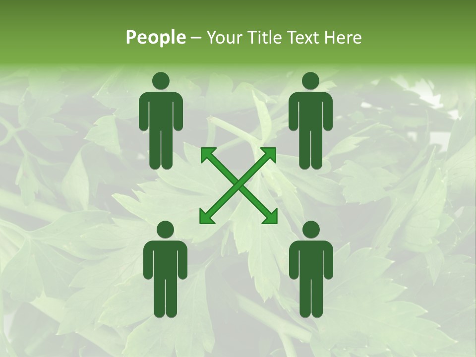 Green Bundle Ingredient PowerPoint Template