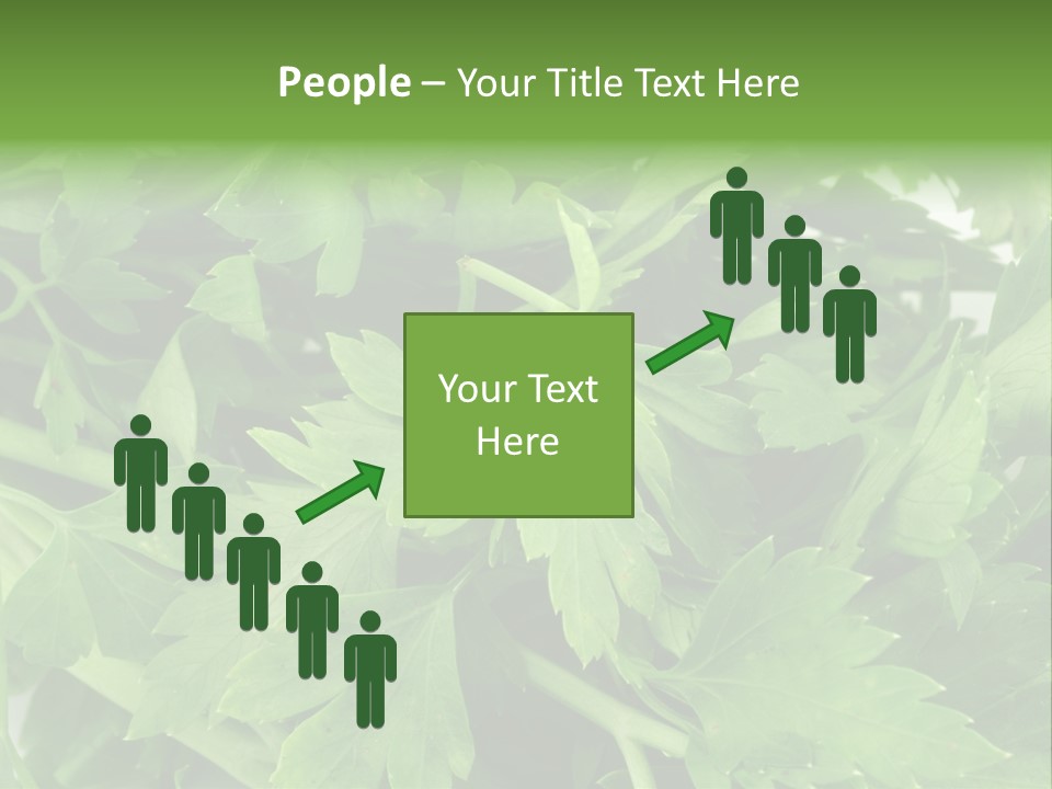 Green Bundle Ingredient PowerPoint Template